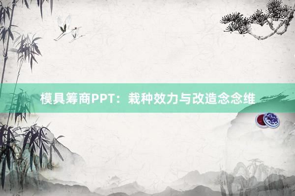 模具筹商PPT：栽种效力与改造念念维