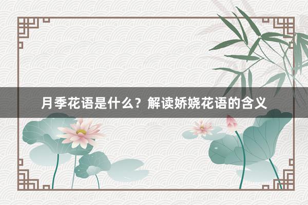 月季花语是什么?解读娇娆花语的含义