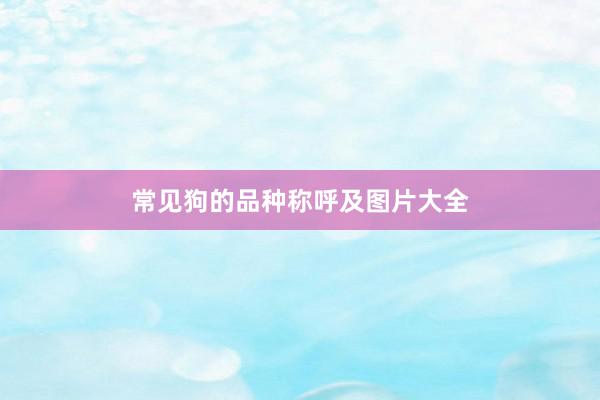 常见狗的品种称呼及图片大全