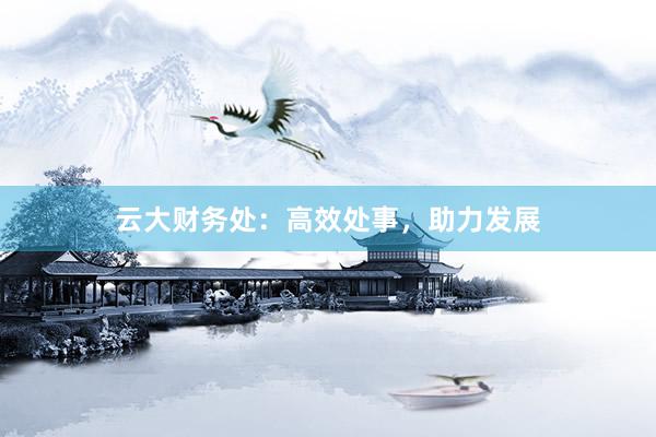 云大财务处：高效处事，助力发展